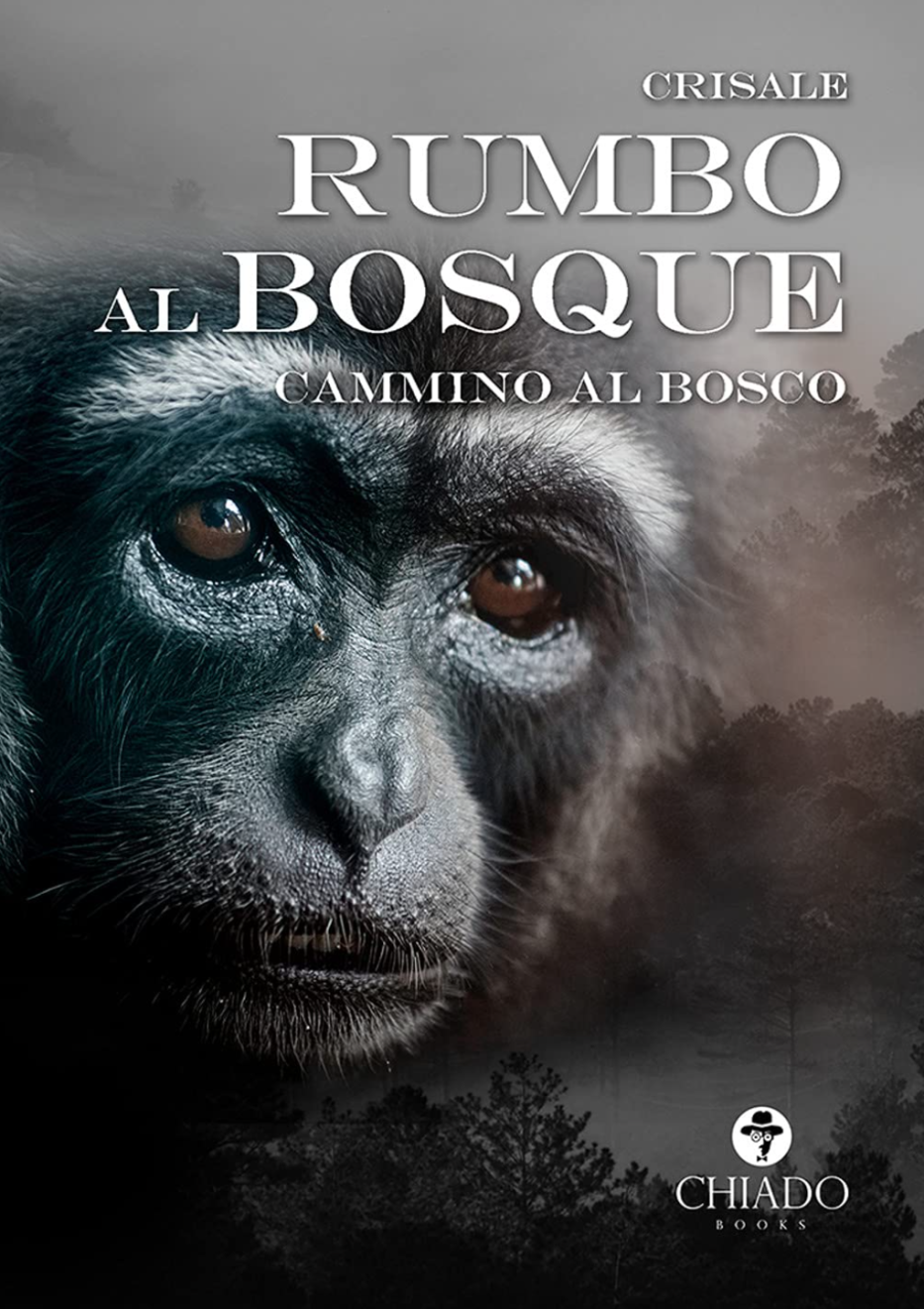RUMBO AL BOSQUE. CAMMINO AL BOSCO